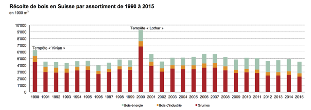 Statistique forestière 2015 : le franc fort, un défi pour l’économie forestière suisse