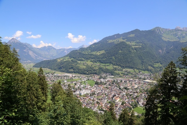 Energie-bois Suisse : La loi sur le CO2 -  une chance unique pour l’énergie du bois