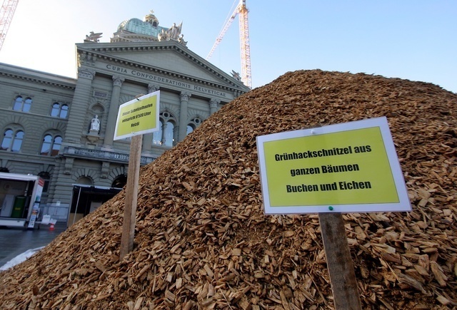 Holzenergie: Jährlich 2 Millionen Kubikmeter Energieholz liegen brach - wo drückt der Schuh?