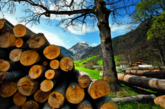 L’énergie-bois dépasse la barre des 5 millions de mètres cubes