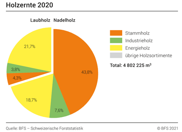 Schweizerische Forststatistik: Holznutzung nimmt im Jahr 2020 wieder Fahrt auf - Schnitzel überholen Stückholz